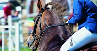 champagne 52 loisirs equestre competition phl6836._1 champagne 52 loisirs equestre competition phl6836._1