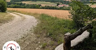 Vos bancs font la pose à Auberive Vos bancs font la pose à Auberive