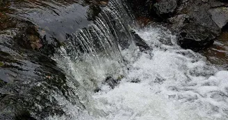 La Bruche : au fil de l'eau La Bruche : au fil de l'eau