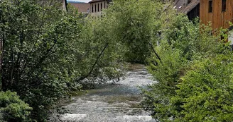 La Bruche : au fil de l'eau La Bruche : au fil de l'eau