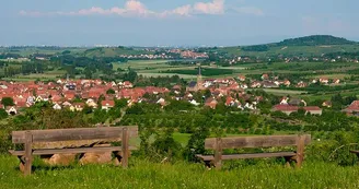 Le Bruderbach