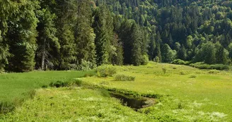 L’étang du Devin L’étang du Devin