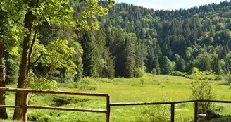 L’étang du Devin L’étang du Devin
