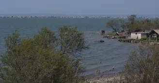 L'étang de Bolmon à Marignane L'étang de Bolmon à Marignane