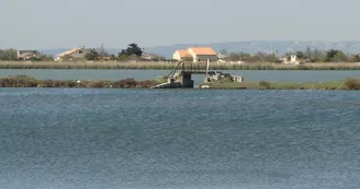 L'étang de Bolmon L'étang de Bolmon