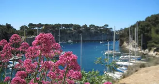 Port Miou Port Miou