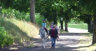 Ecurie des Forets_1 Ecurie des Forets_1