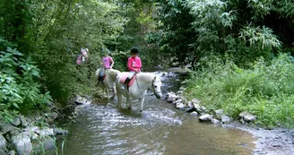 haras royer haras royer