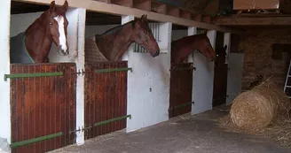 haras de royer haras de royer