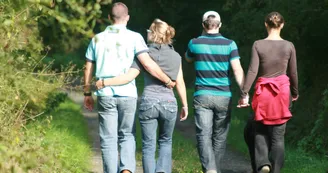 IMG_5323 IMG_5323