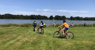 VTT