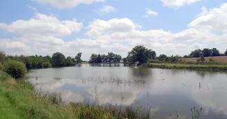 VIGNE ET ETANGS DE LA MORINIERE VIGNE ET ETANGS DE LA MORINIERE