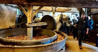 Fête du cidre à l'ancienne à Sap-en-Auge Fête du cidre à l'ancienne à Sap-en-Auge