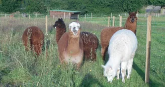 Ferme Chez Poly