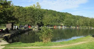 Pisciculture Pisciculture