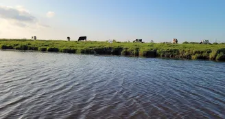 LES BATELIERS DES MARAIS DU COTENTIN LES BATELIERS DES MARAIS DU COTENTIN