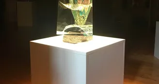 ©MuséeDuVerre_CommunicationBlangy ©MuséeDuVerre_CommunicationBlangy