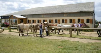 Poney Club Atoucrin_La Chapelle d'Aligné Poney Club Atoucrin_La Chapelle d'Aligné