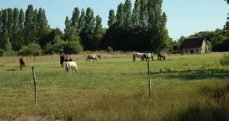 Poney Club Atoucrin_La Chapelle d'Aligné Poney Club Atoucrin_La Chapelle d'Aligné