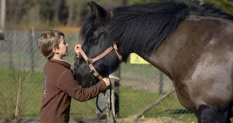 Poney Club Atoucrin_La Chapelle d'Aligné Poney Club Atoucrin_La Chapelle d'Aligné