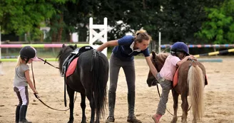 ITI72-poneys-1