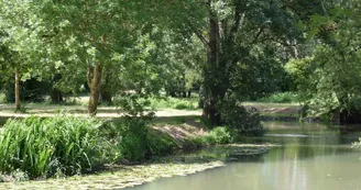 DSC_3167 DSC_3167