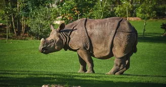 Zoo de la Flèche