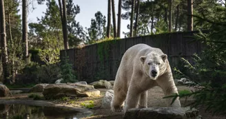 Zoo de la Flèche