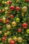 Marché de Noël du club des Ainés