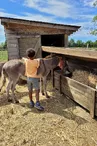visite-a-la-ferme-la-guyonniere-visite-accompagnée