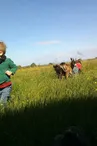 Camping à la Ferme