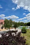 Les Lys