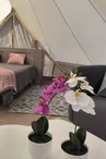 Tente lodge "Plein Champ"