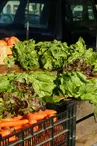Marché hebdomadaire