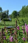 Camping LA PETITE FORET