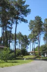 Domaine des Grands Pins