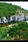 Camping les Actinidias