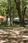 CAMPING LA FORET
