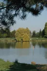 Camping Le Rochat-Belle-Isle