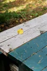 Aire de pique-nique de Guerting