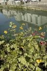 CANAL.JPG