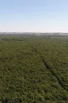 foret de BUZET Léo MORA