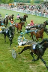 Hippodrome de Montier-en-Der