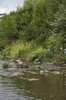 La Bruche : au fil de l'eau