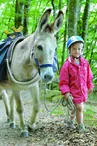 Ferme pédagogique Les Anes de Vassivière