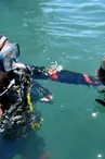 Plongée Chausey Loisirs