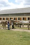 Poney Club Atoucrin_La Chapelle d'Aligné